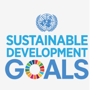 SDG Icons 18 copy