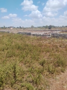 Awesome Blossoms’ Big Dreams for Our Sustainable Future