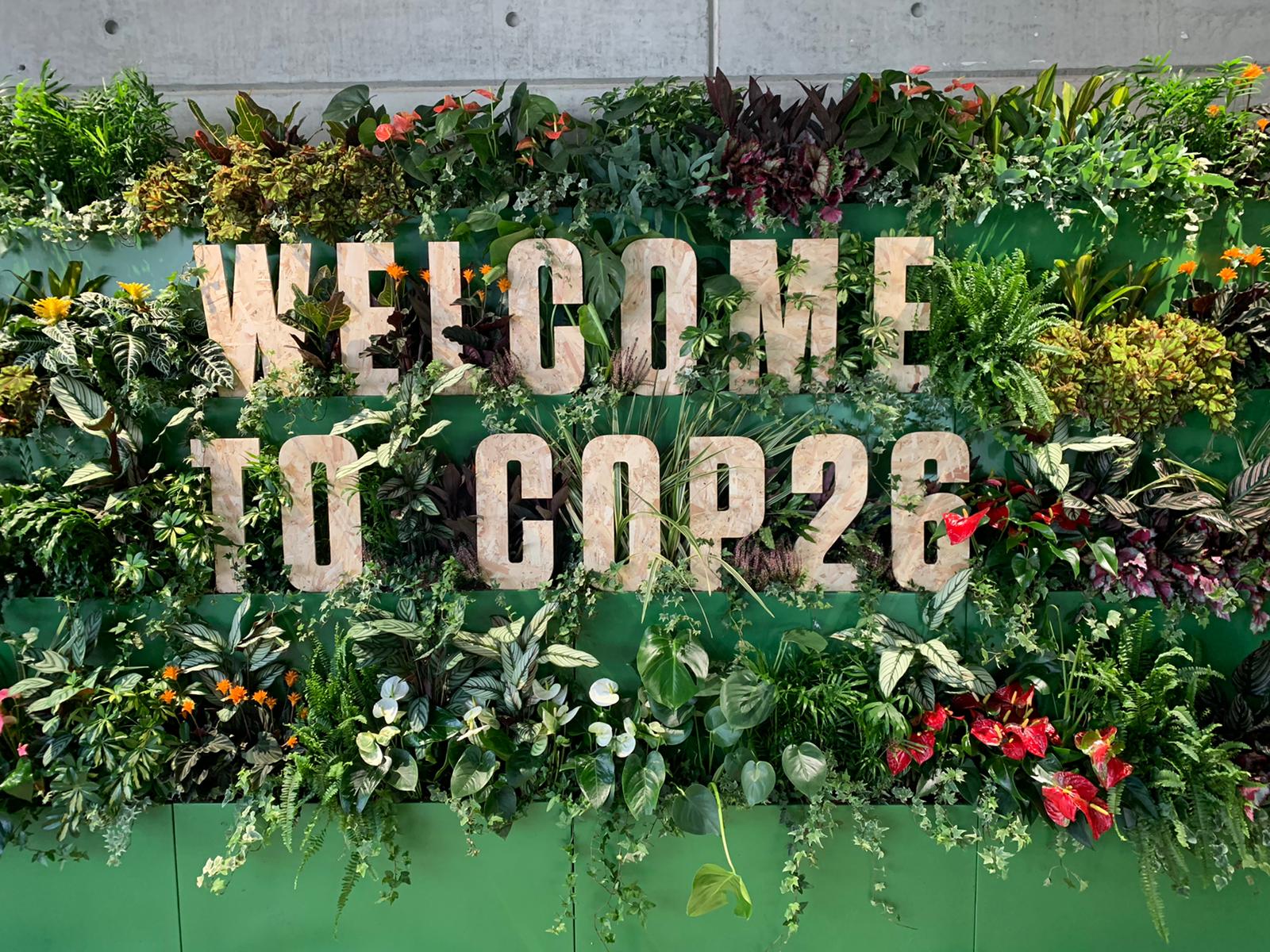 COP26 cover photo 2021