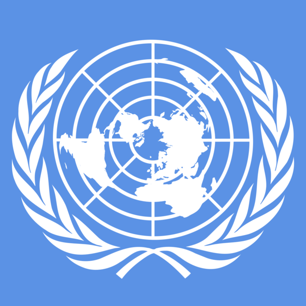 Un-flag-square