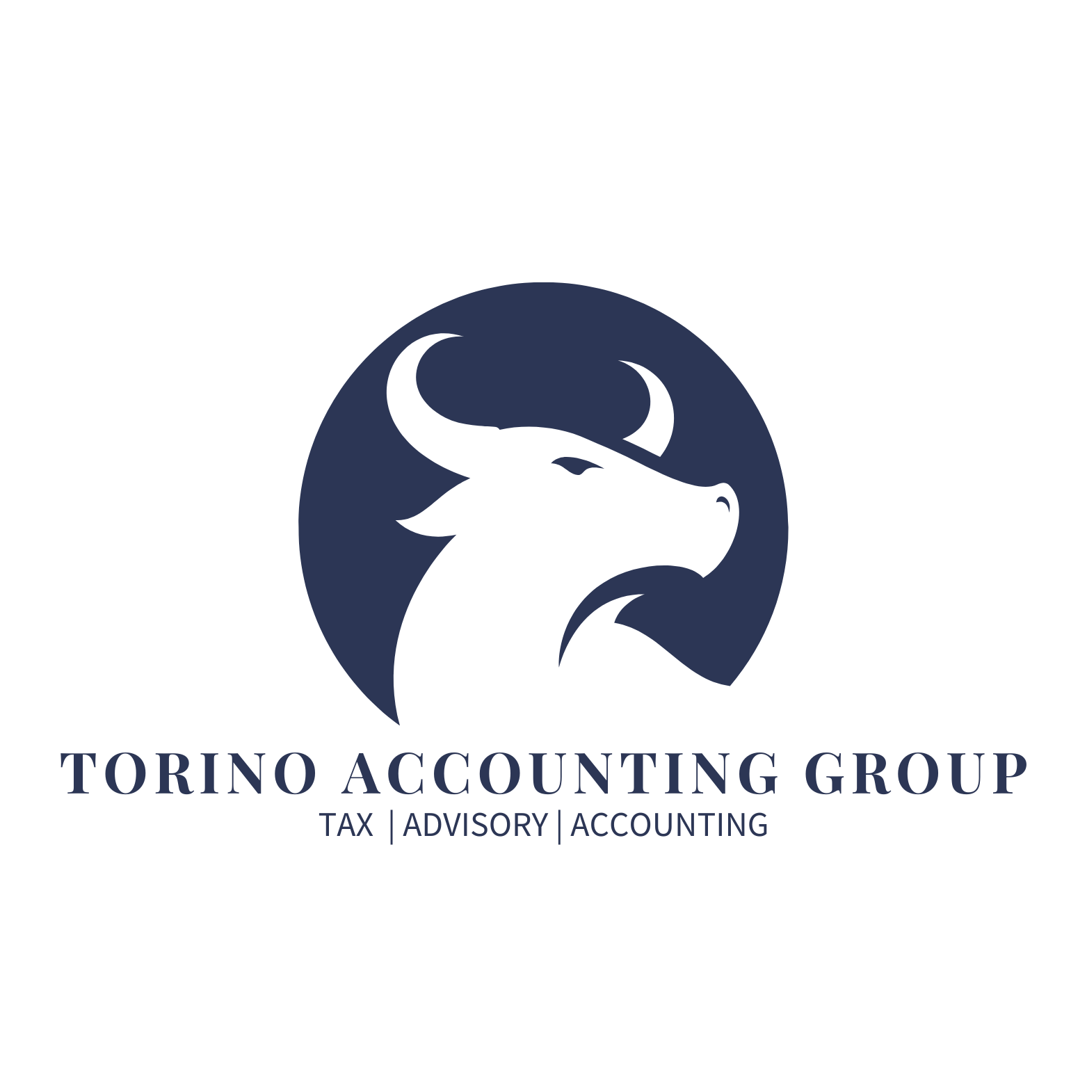 Torino Accounting Group