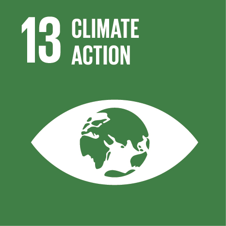 SDG Icon 13 Climate small