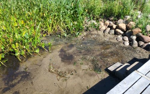 dry land near dock from dropping water levels