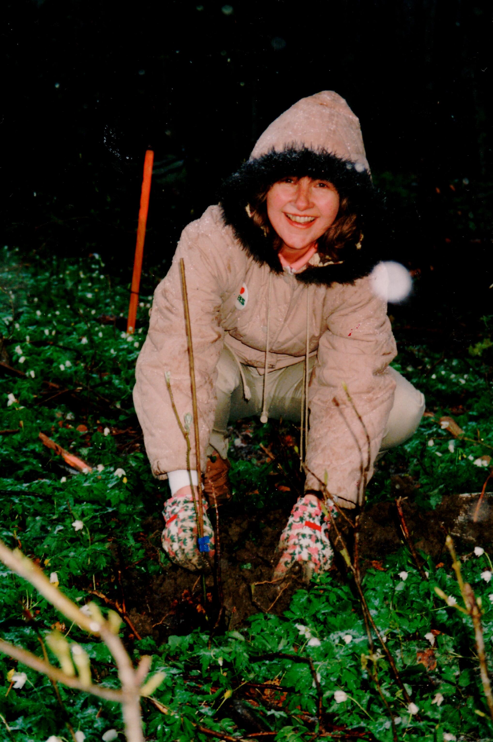 Valerie planting 1994 cropped