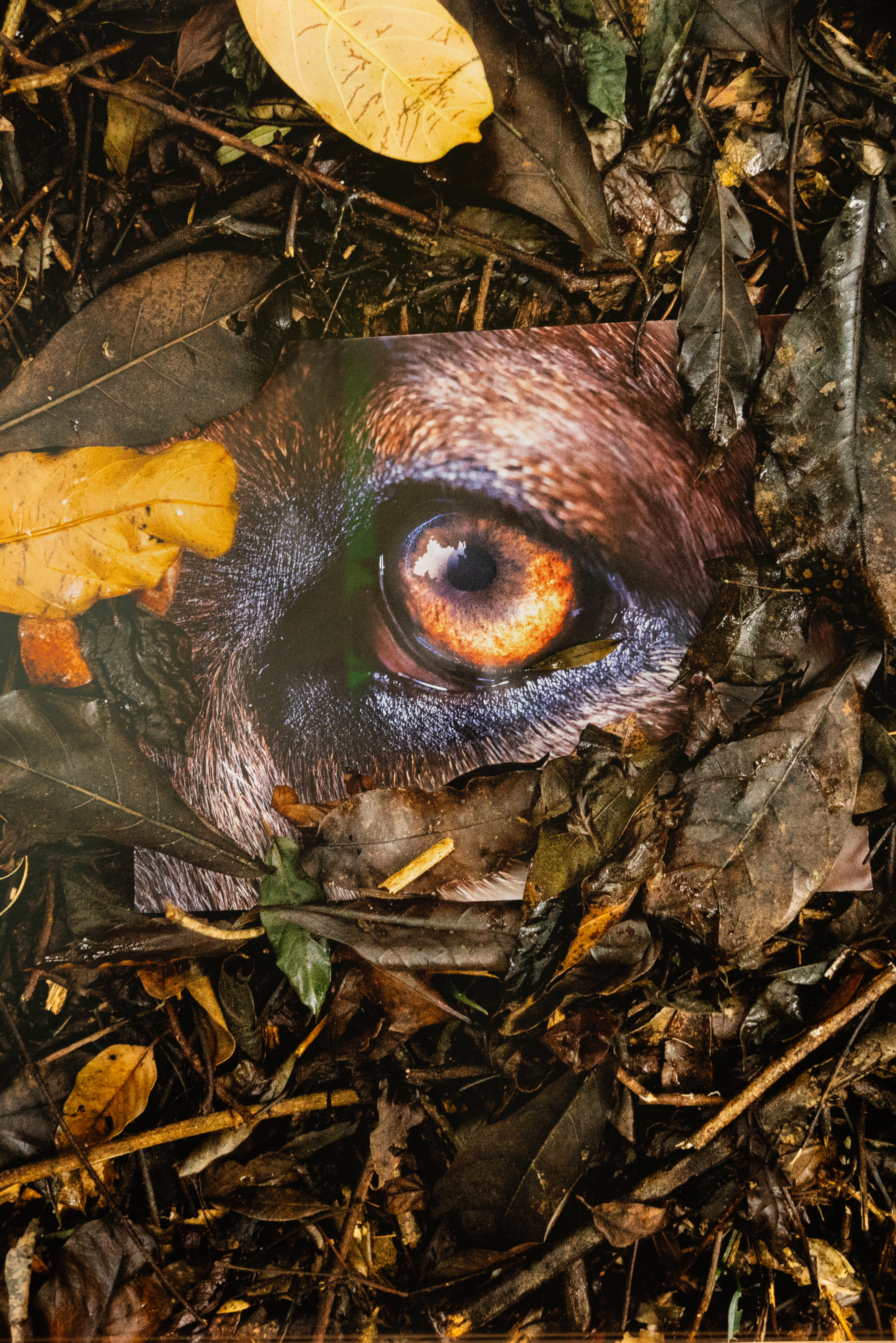 env art exhibition 4