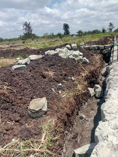 env awesome blossoms final 2