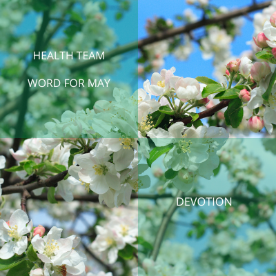 Health Team May Word website 400 400 px 1