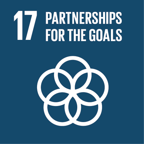 SDG Icon 17 Partnership