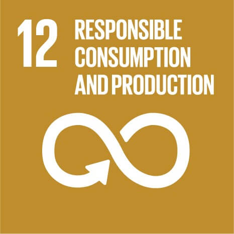 sdg 12 consumption production